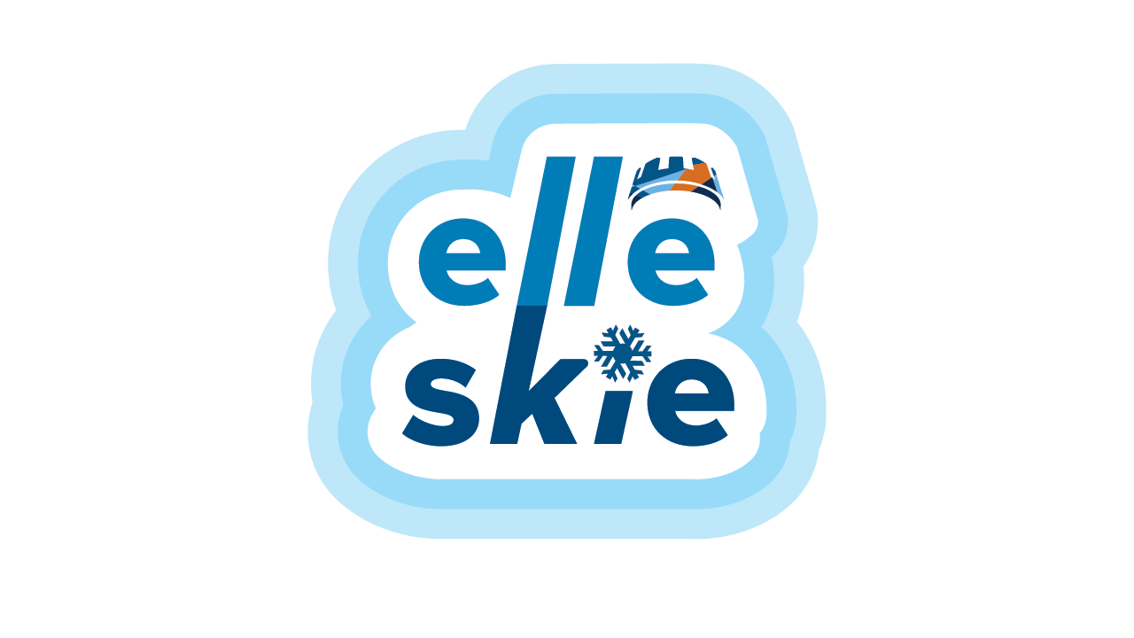 Shi-skis logo
